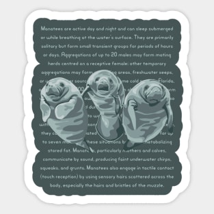 Information About Endangered Manatees Sticker